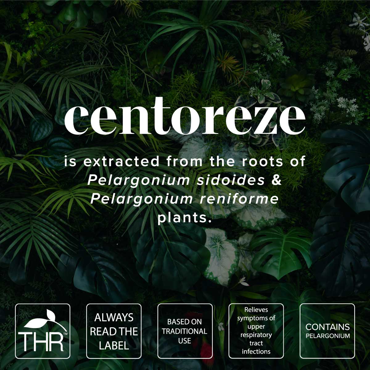 Centoreze is made with Pelargonium root extracts